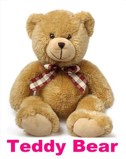Teddy Bear 0