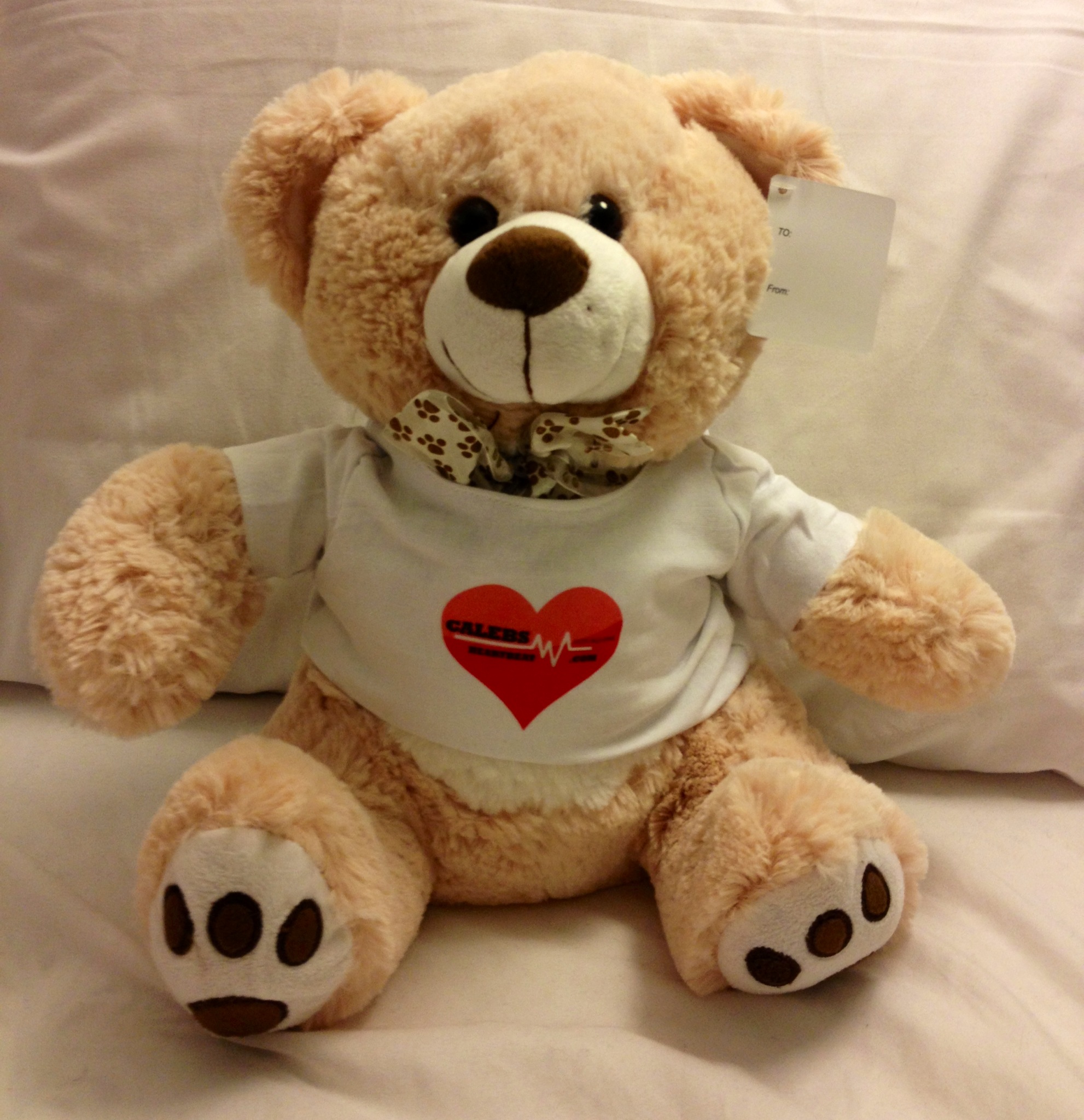 Teddy Bear JTB-01