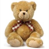 Teddy Bear JTB-20