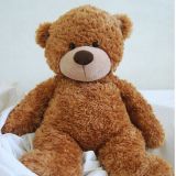 Teddy Bear JTB-24
